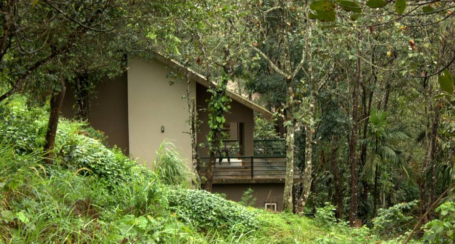 Seagot Banasura, Wayanad 2